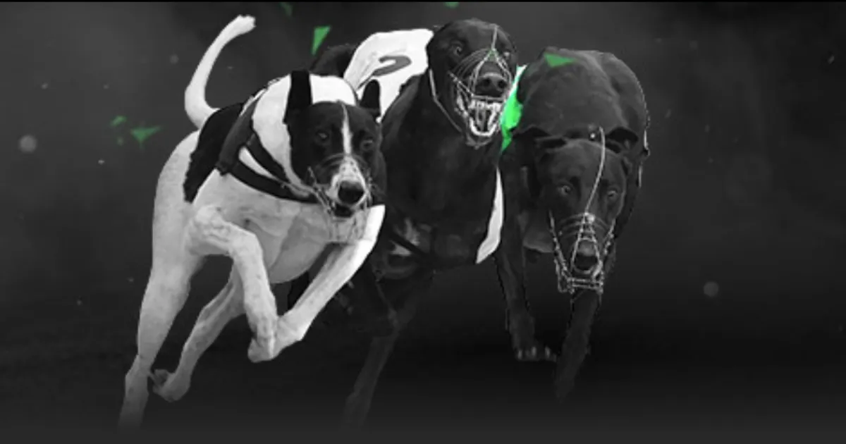 富勒姆与帕,利尼亚续约,年正式公告,博鱼体育官网,博鱼体育app,博鱼体育APP下载