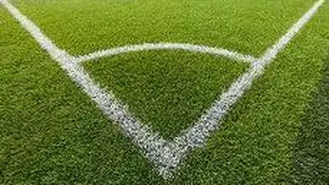 “黄雅琼宣布退出，奥运冠军及世界羽联联合发声——中国青年报报道”