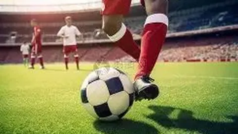 亚冬会中国队夺32金27银26铜完美谢幕